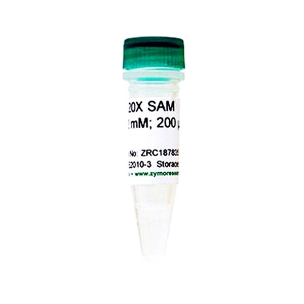 20X SAM, S-adenosylmethionine, 200 ul